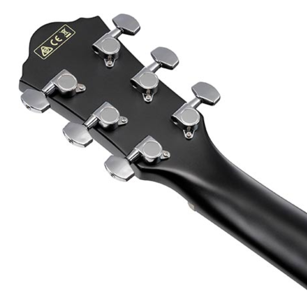 Ibanez AEG50 Acoustic-Electric Guitar – Black High Gloss